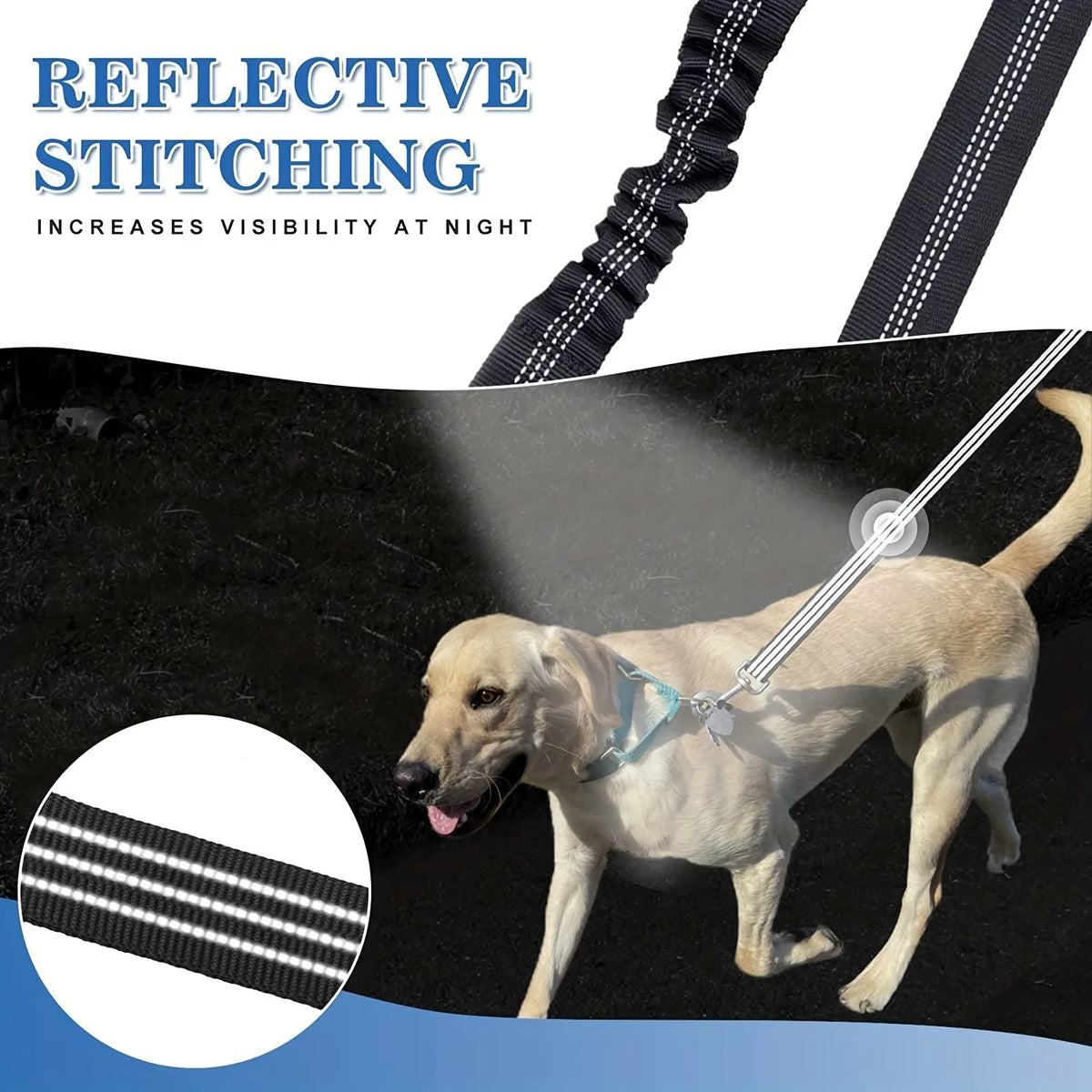 laisse double pour gros chien