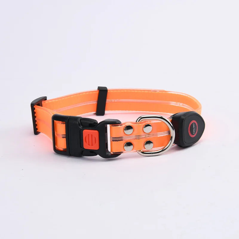 collier et laisse lumineuse pour chien