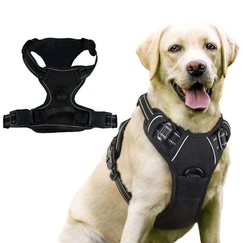 laisse harnais pour chien