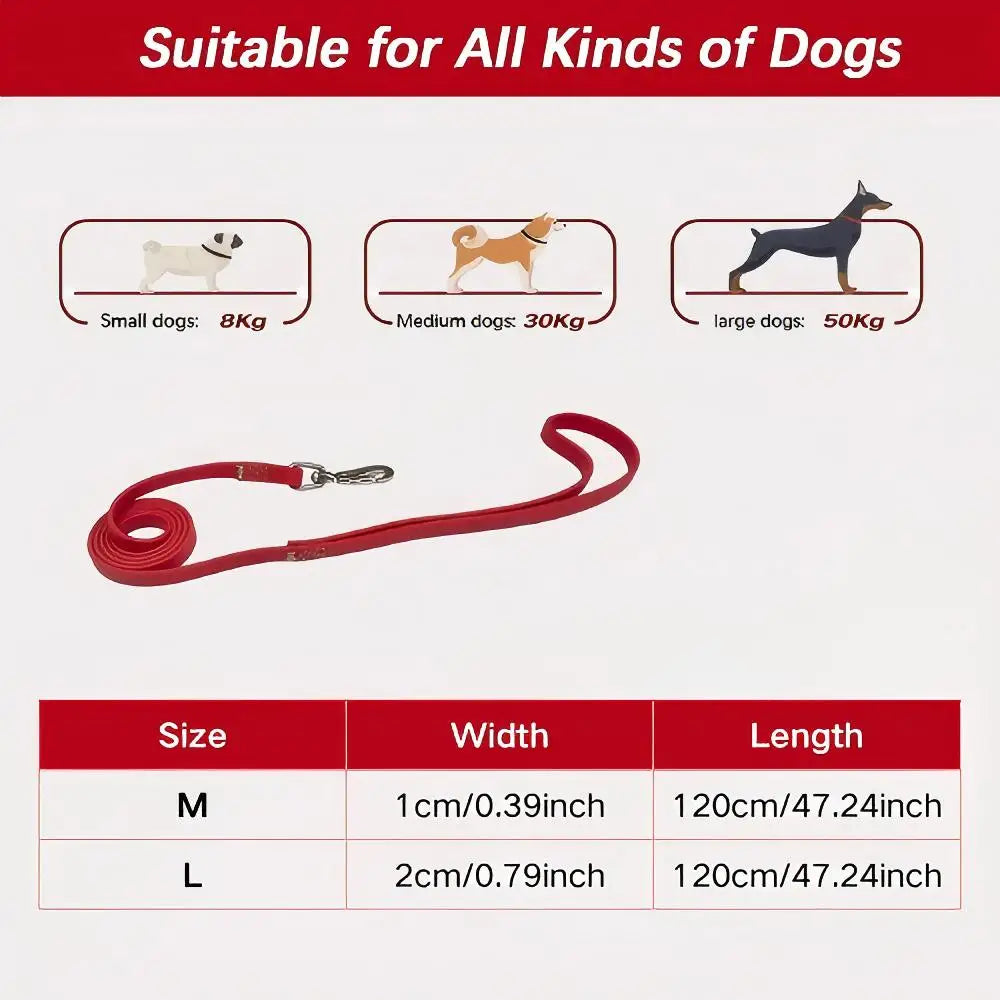 laisse en silicone pour chien