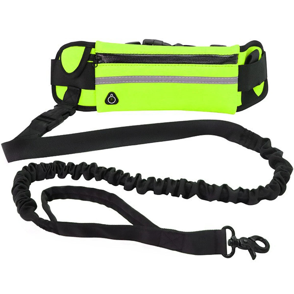 laisse pour courir pour chien