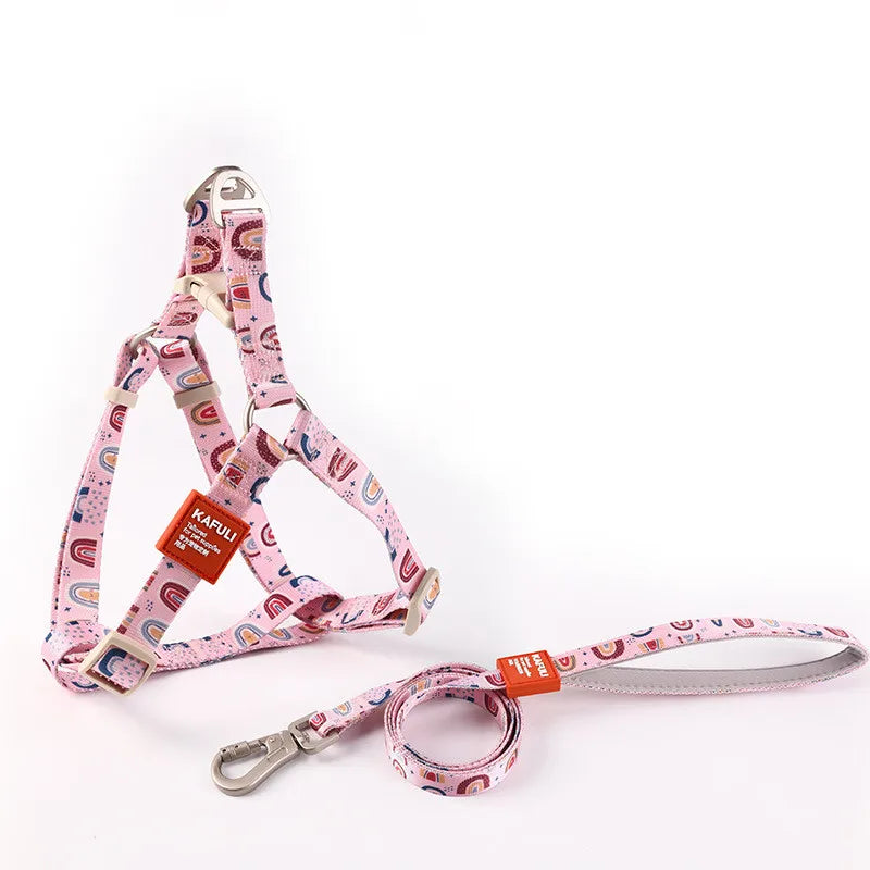 collier et laisse pour chien carricature