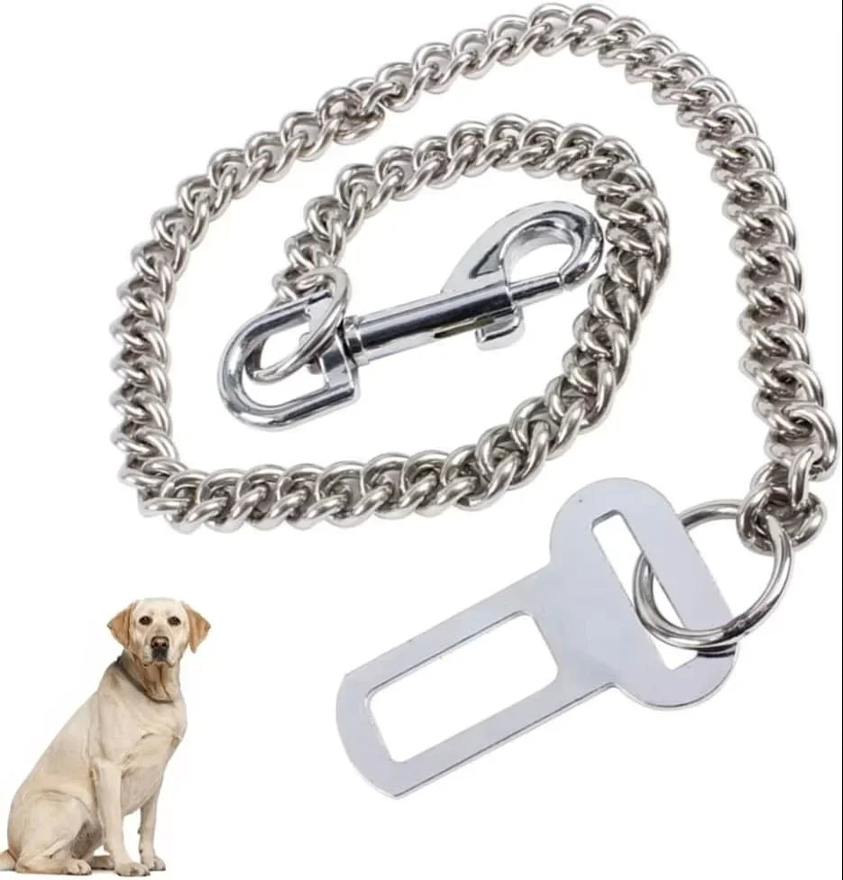 laisse corde pour chien