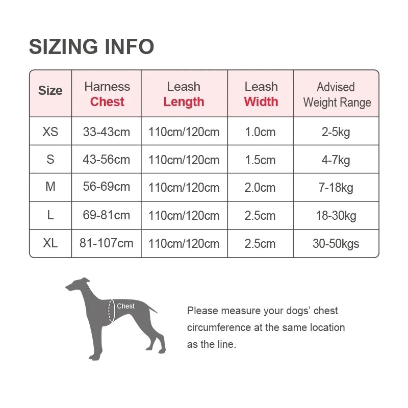 harnais laisse en nylon 2 cm largeur pour chien