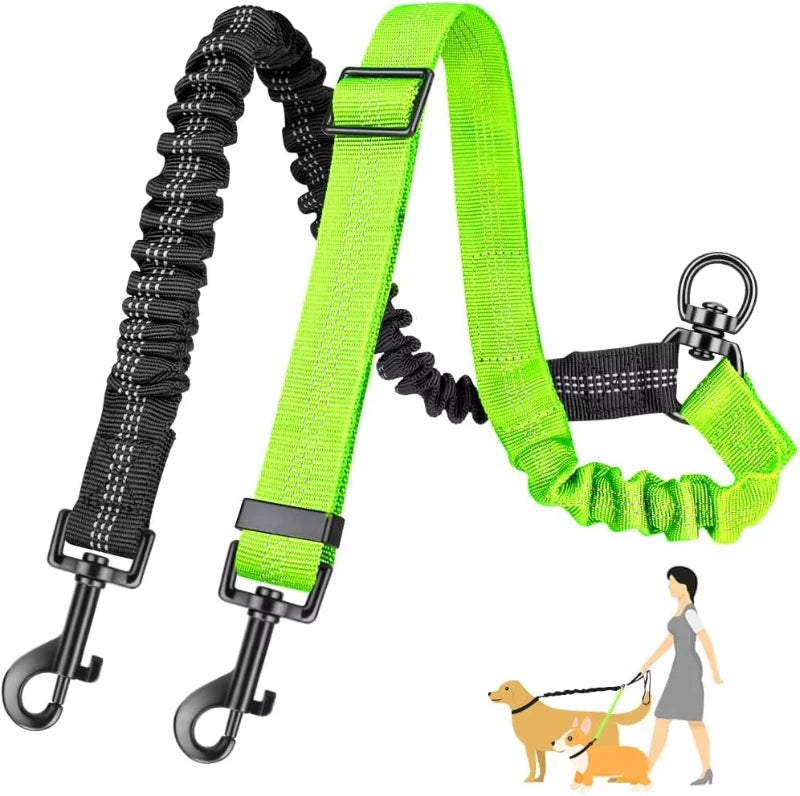 double laisse pour chien