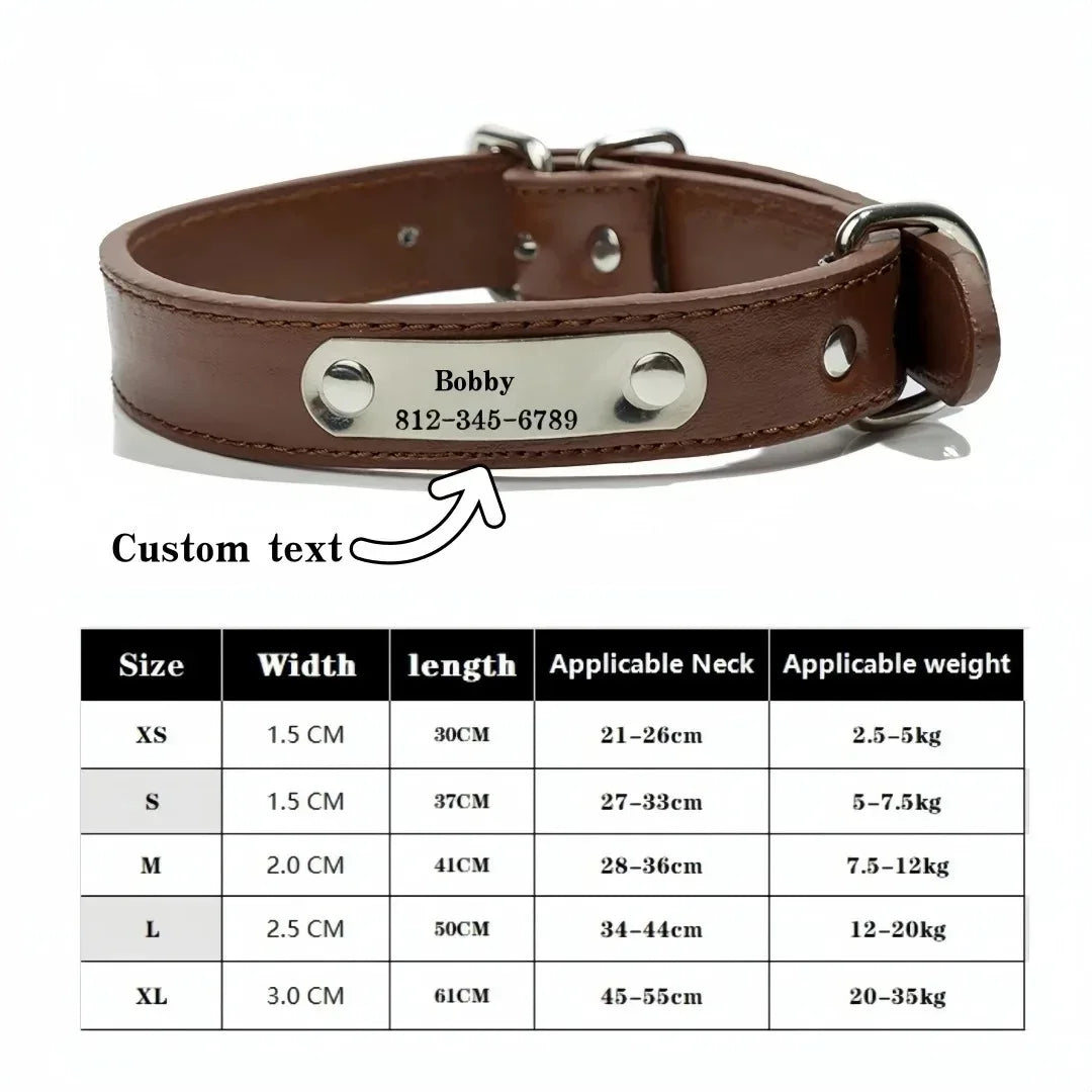 collier et laisse pour chien personaliser