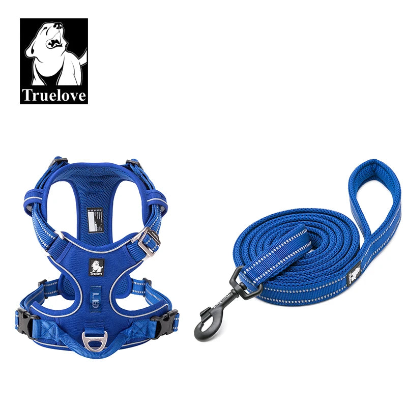 harnais laisse en nylon 2 cm largeur pour chien