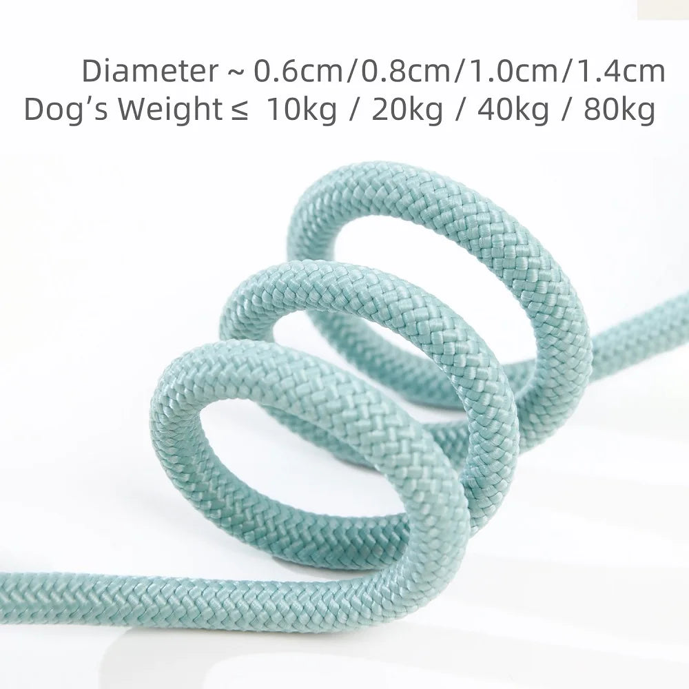 laisse lasso gros chien