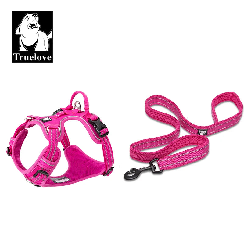 harnais laisse en nylon 2 cm largeur pour chien