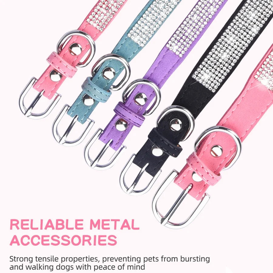 collier et laisse strass pour chien