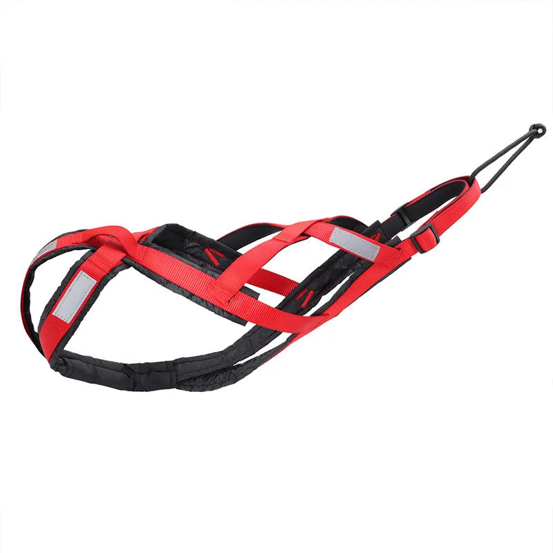 laisse pour chien de traineaux