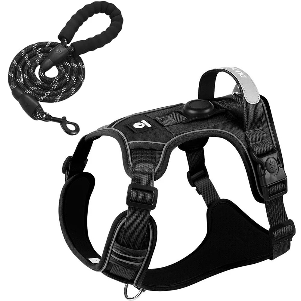 ensemble harnais laisse pour chien