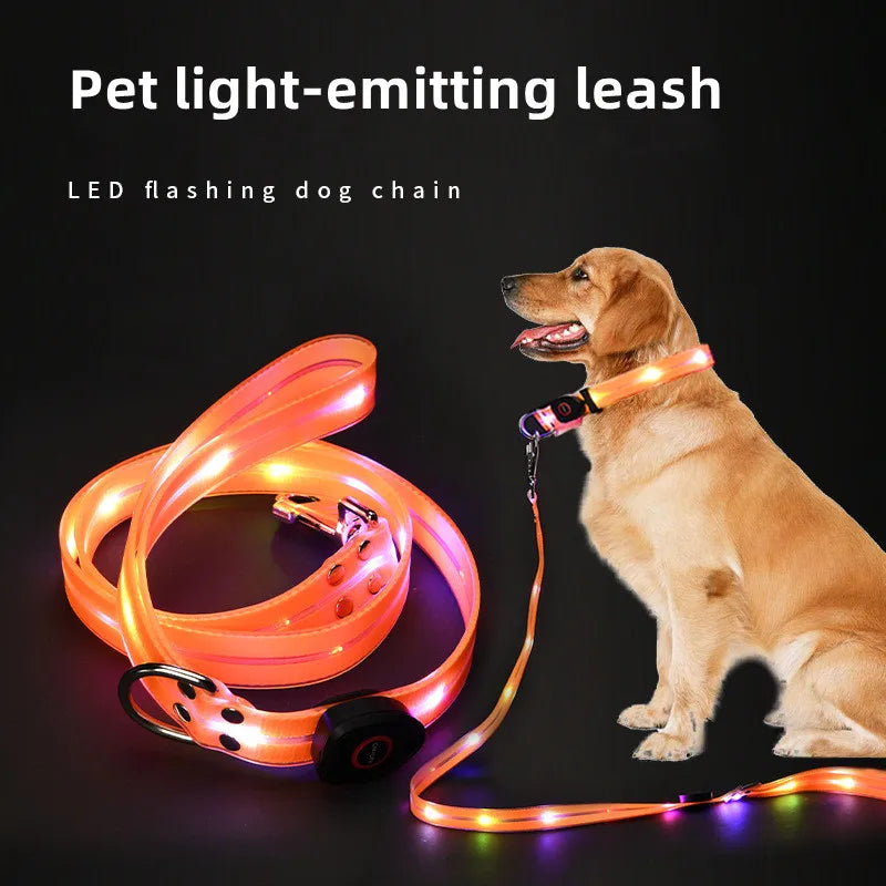 collier et laisse lumineuse pour chien