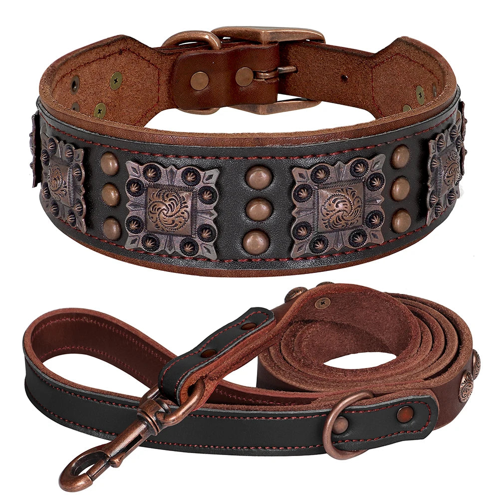 collier et laisse avec bouton pour chien