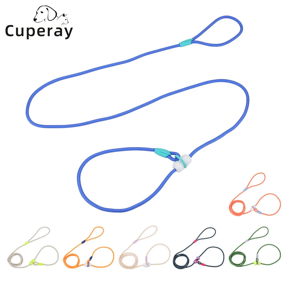 laisse de présentation pour chien 6 mm