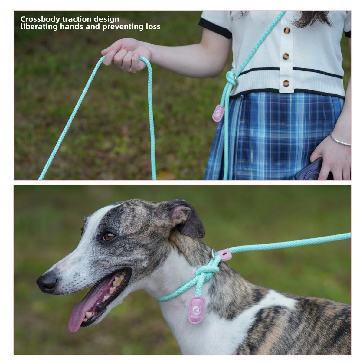 laisse bandoulière pour chien