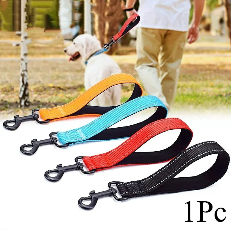 laisse courte pour chien