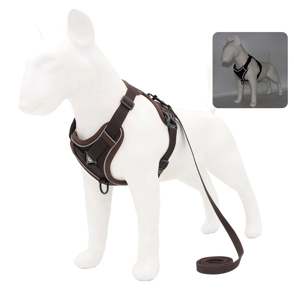 harnais laisse pour chien de moyen taille
