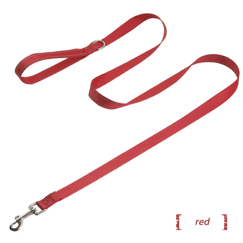 collier et laisse assorti pour chien