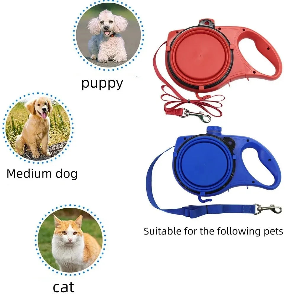 gourde laisse pour chien