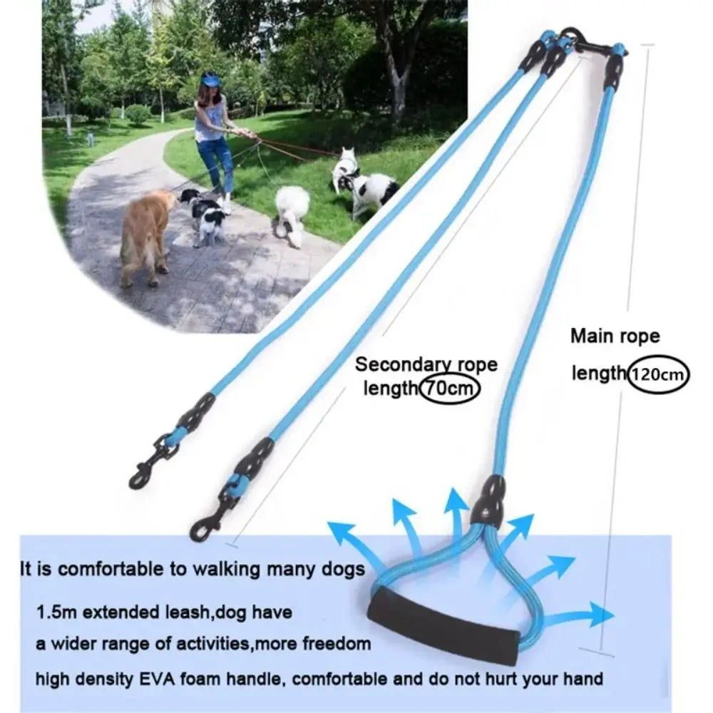 laisse pour 4 chien