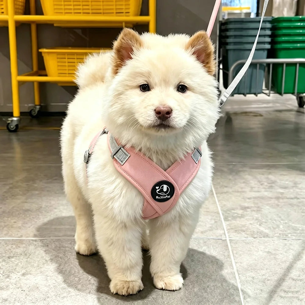 harnais pour chien rose