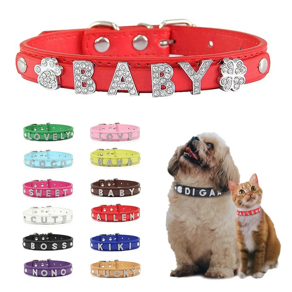 colier pour chien cuir et strace blanc