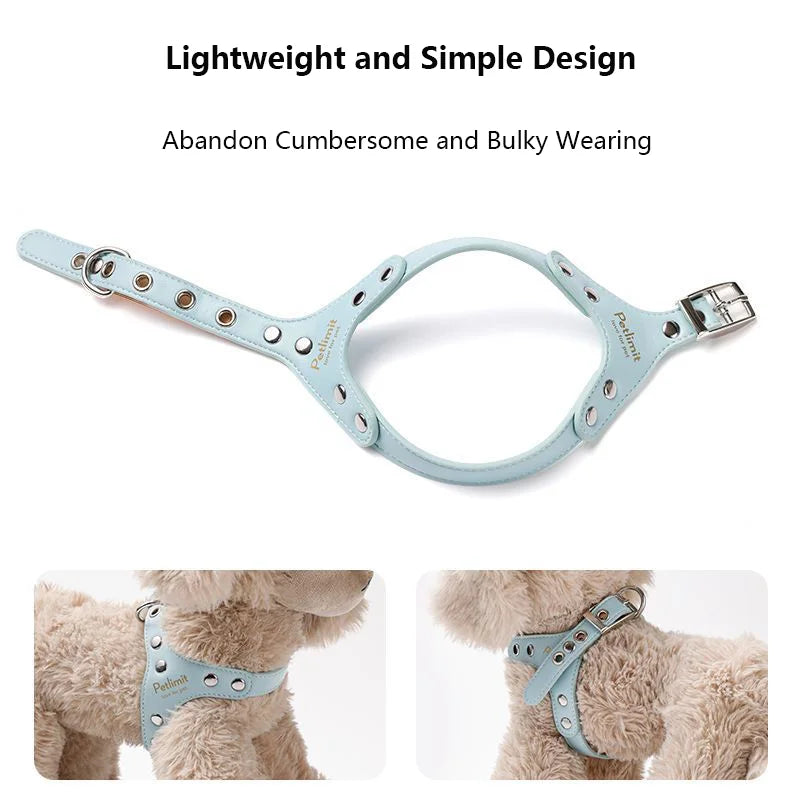harnais cuir laisse pour petit chien yorkshire