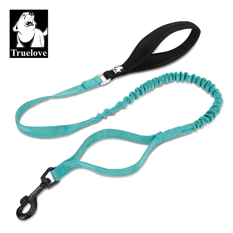 laisse pour chien elastique