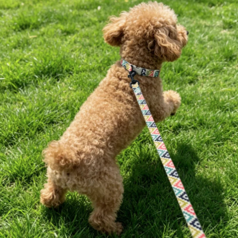 laisse pour chien dessin