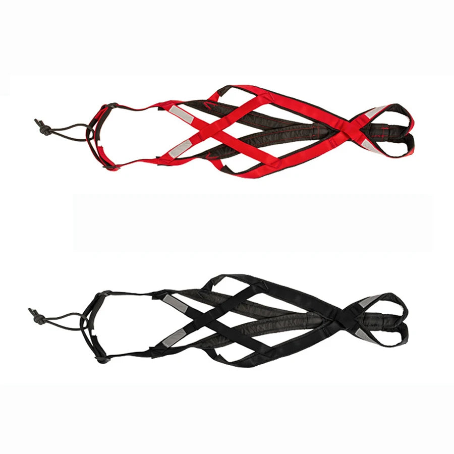 laisse pour chien de traineaux
