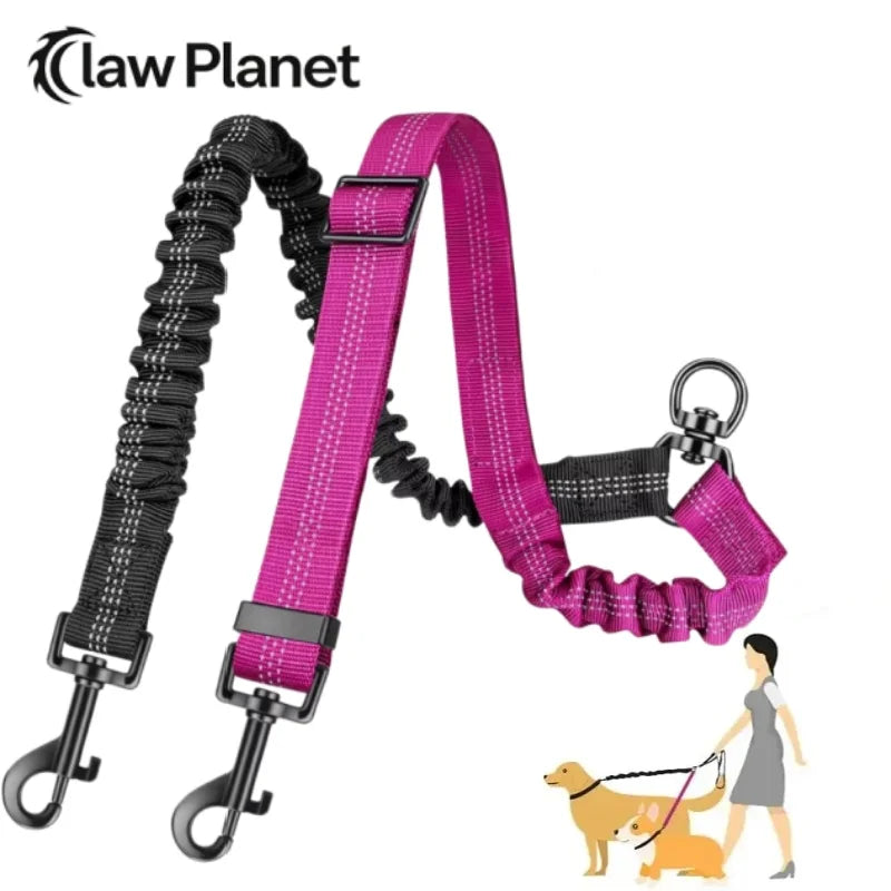 double laisse pour chien