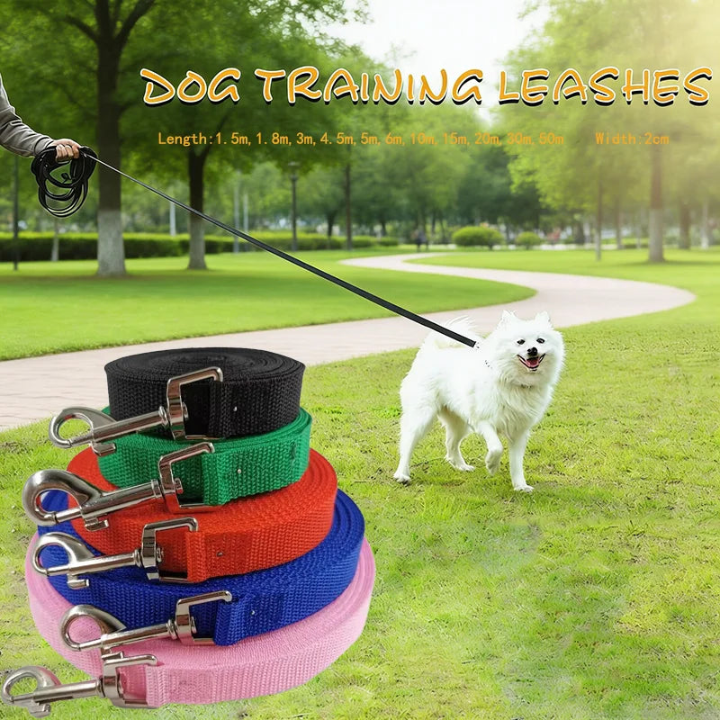 laisse 4 m pour chien