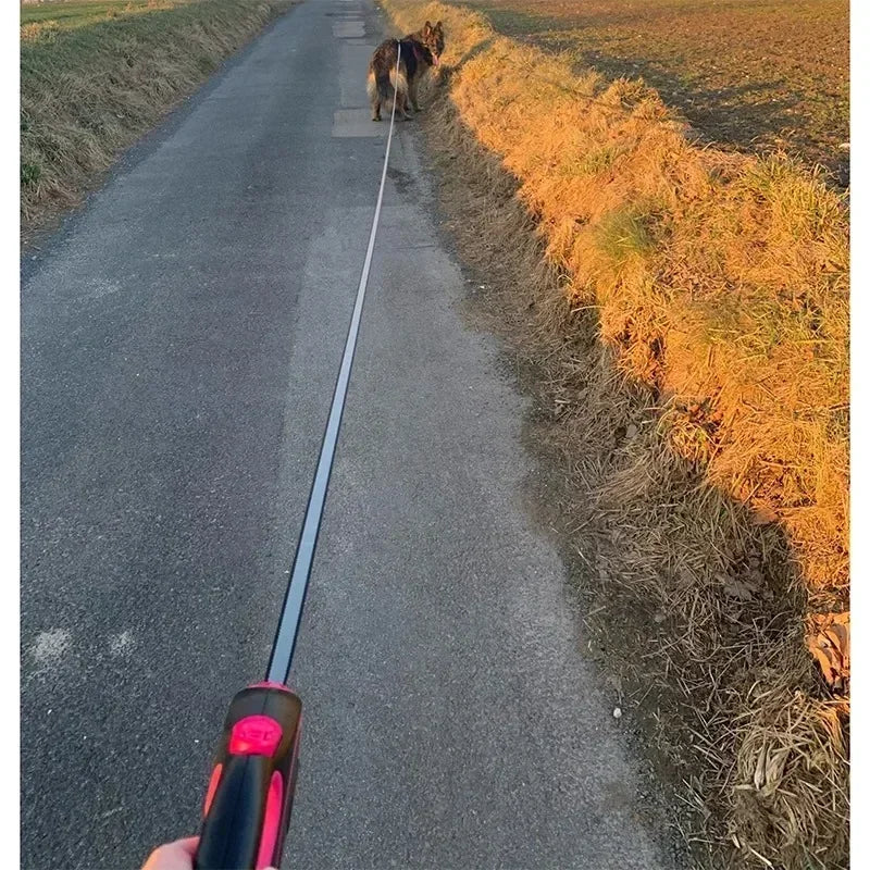laisse enrouleur pour gros chien