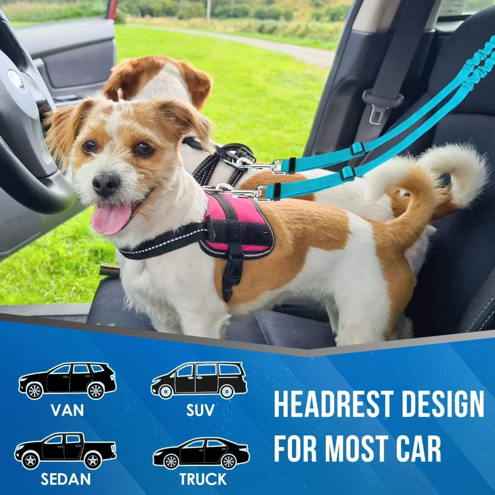 laisse ceinture retractable pour deux petit chien