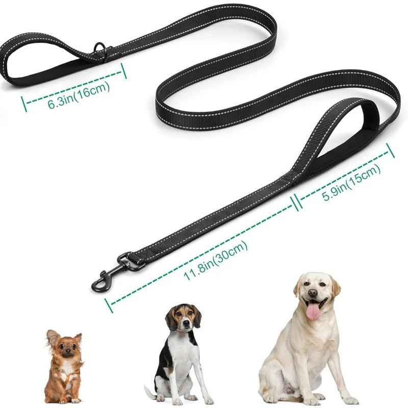 laisse en nylon pour chien