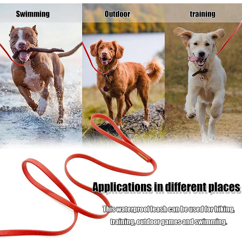 laisse pour chien en PVC