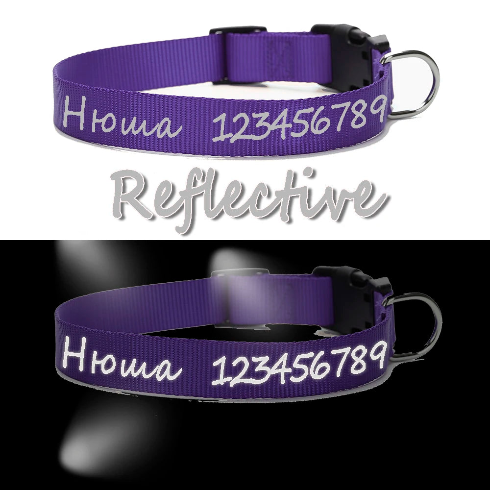 collier pour chien laisser moi tranquille