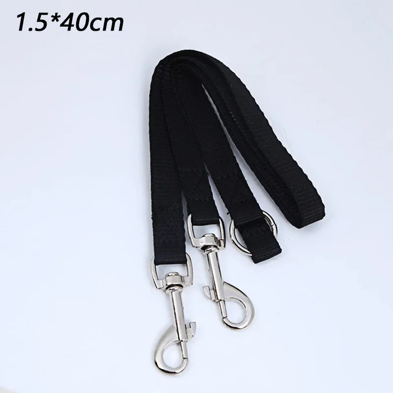 laisse 2 accroche pour chien