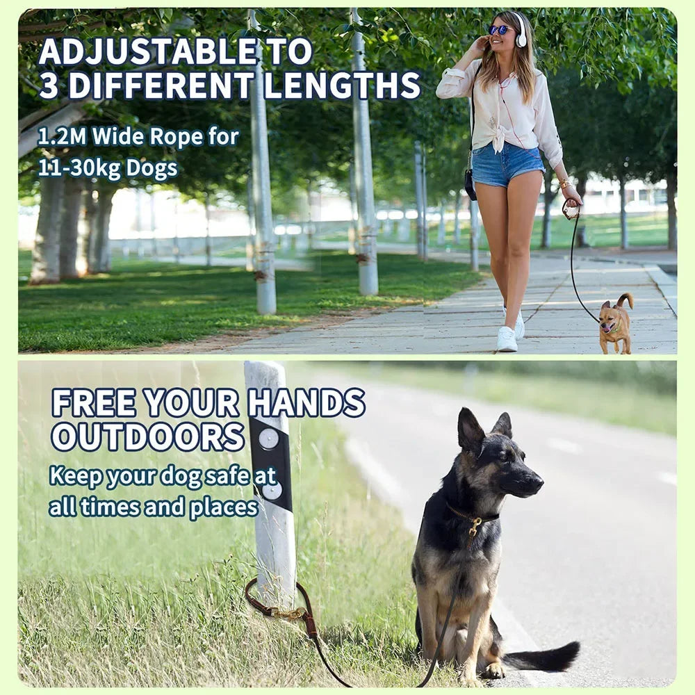 laisse 3 position en cuir pour chien