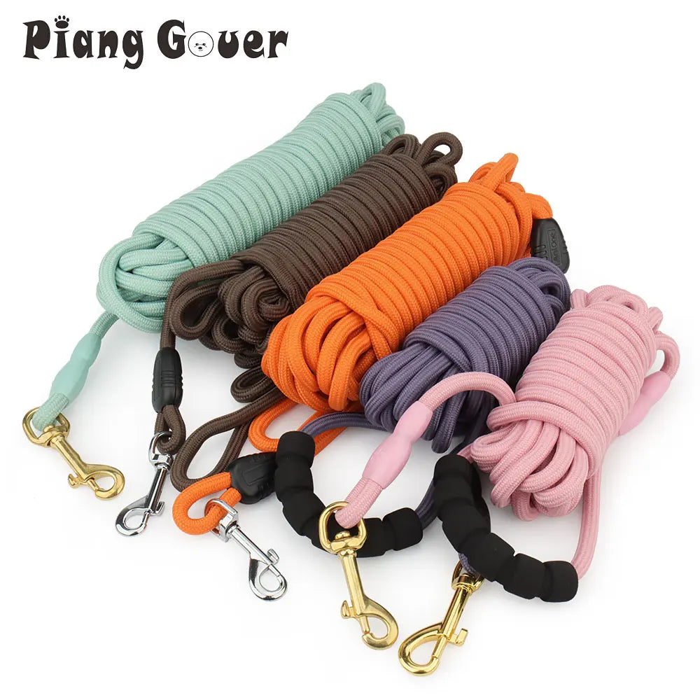 laisse pour chien 10 m