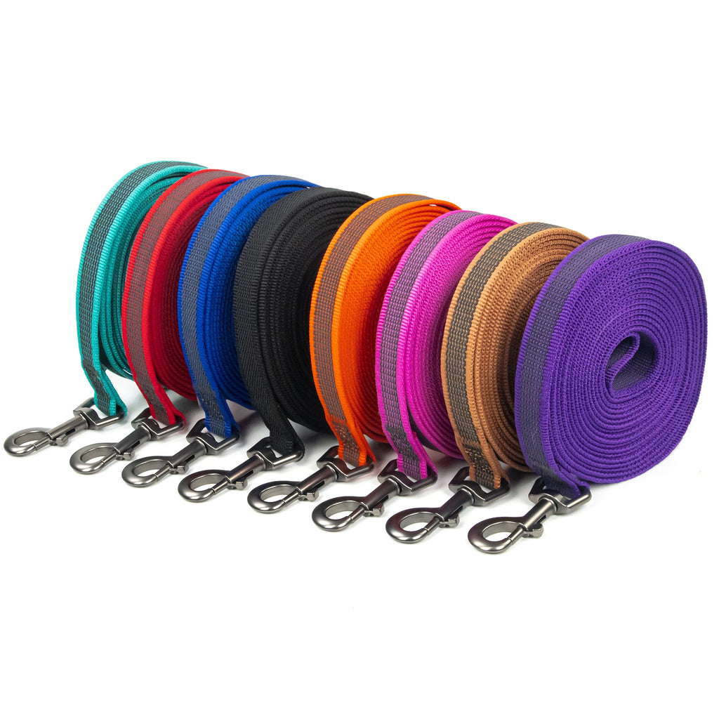 laisse 2 metre pour chien