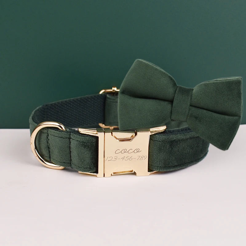 collier et laisse pour chihuahua