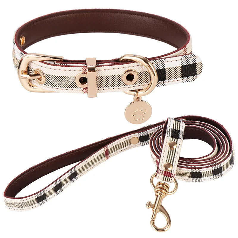 collier et laisse pour chien chic