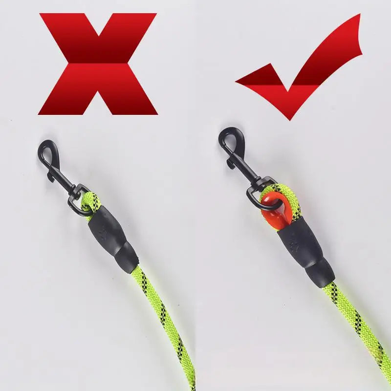 laisse pour chien 8 mm