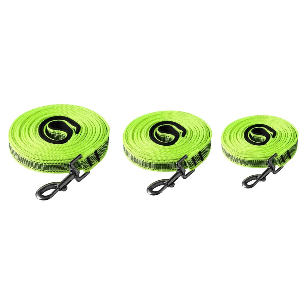 laisse fluo pour chien