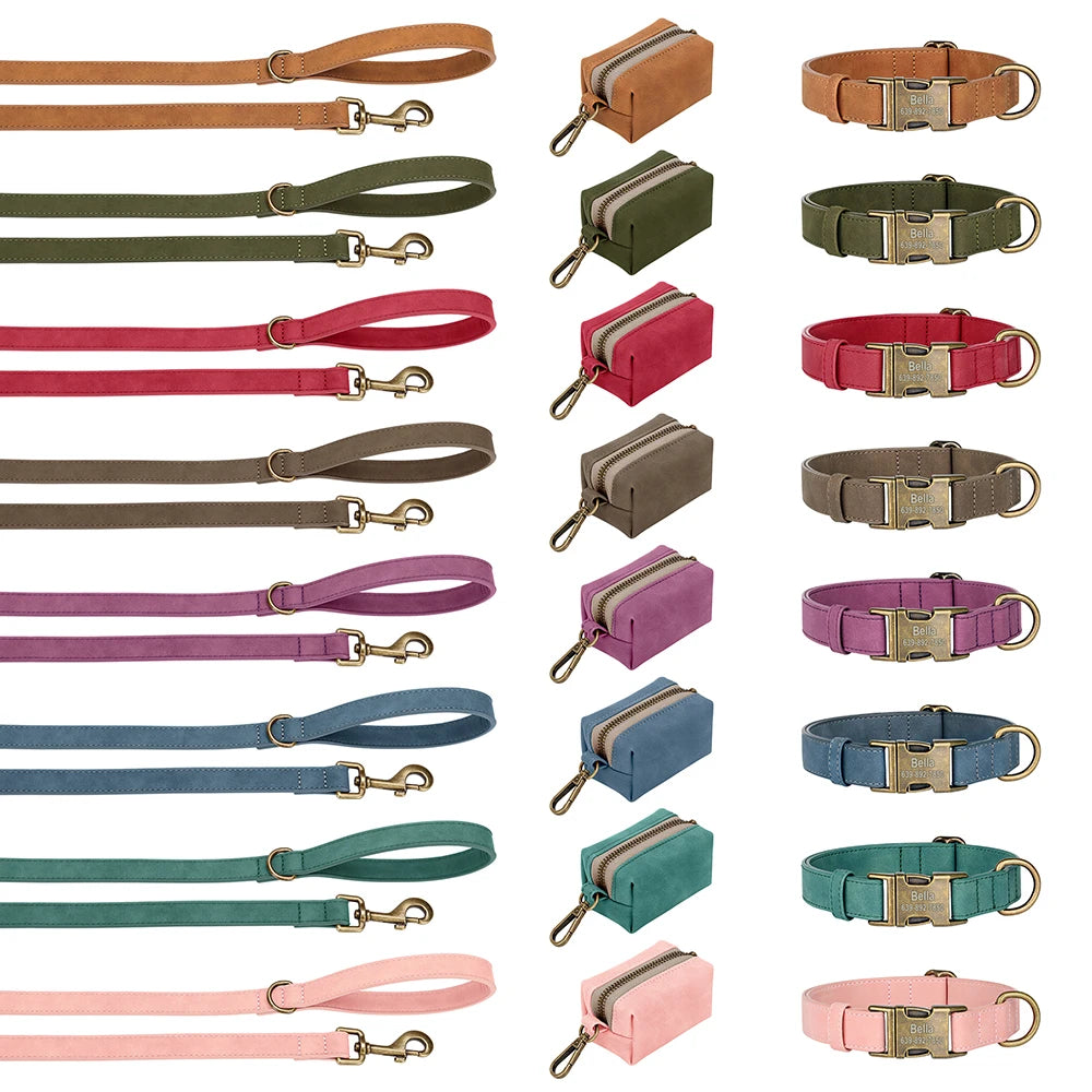 laisse d'exposition en cuir pour chien