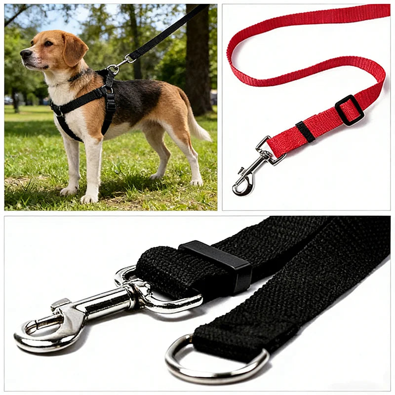 laisse 1m50 pour petit chien