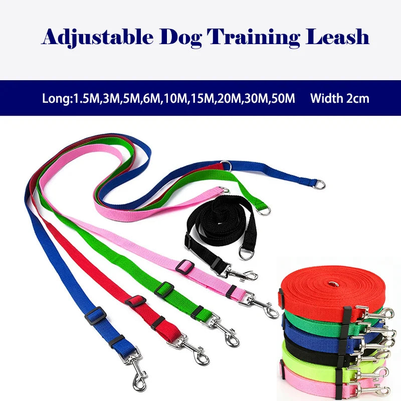 laisse 1m50 pour petit chien