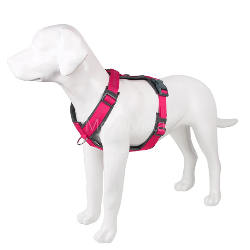 laisse anti fugue pour chien